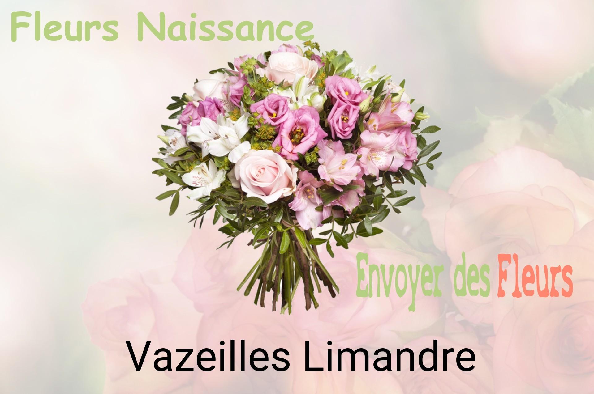 Bouquet de fleurs de naissance livré à Vazeilles-Limandre