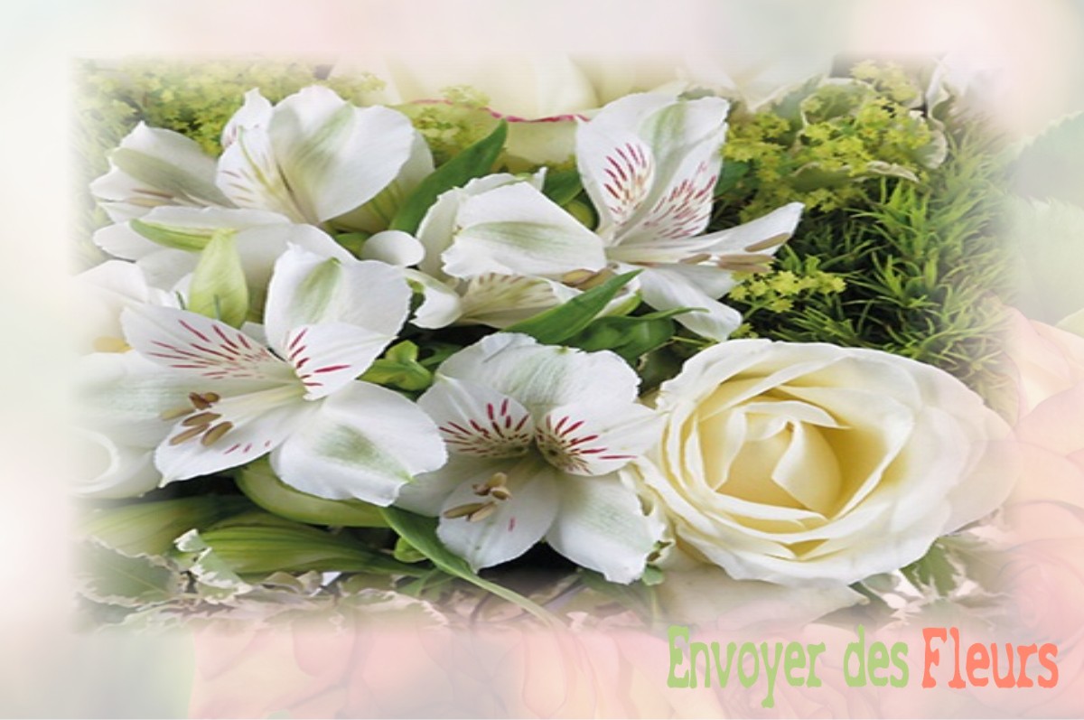 envoyer des fleurs à à VAZEILLES-LIMANDRE